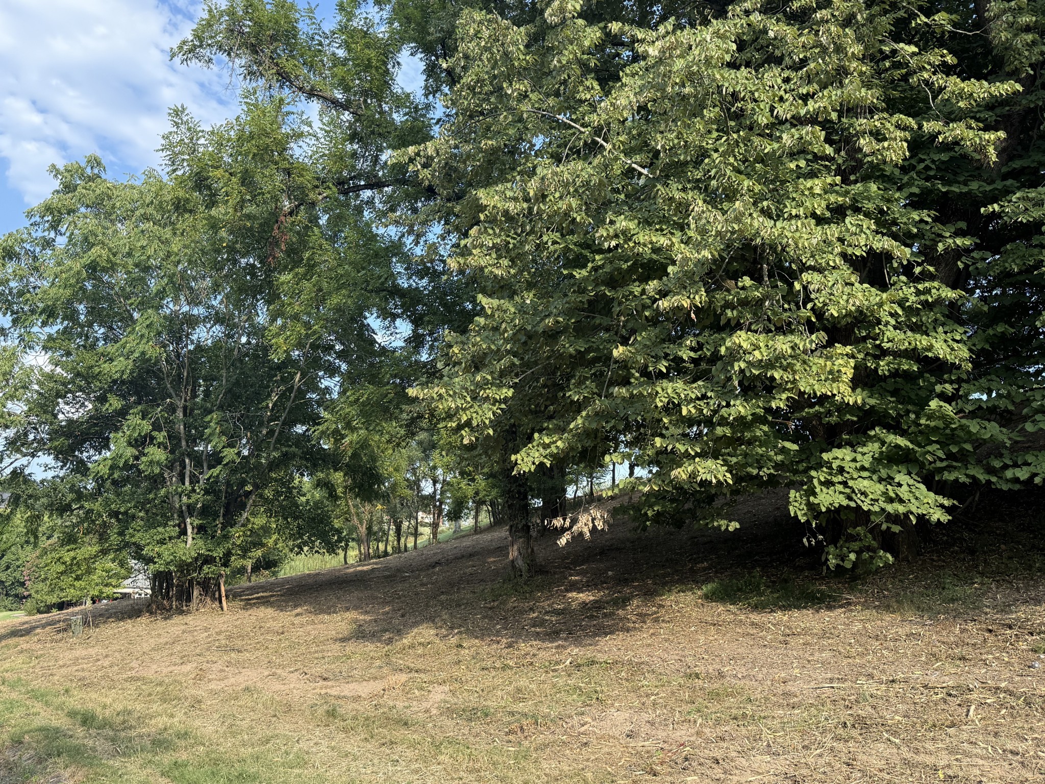 0 Deer Ridge Road Columbia, TN 38401 - Photo 18 of 34