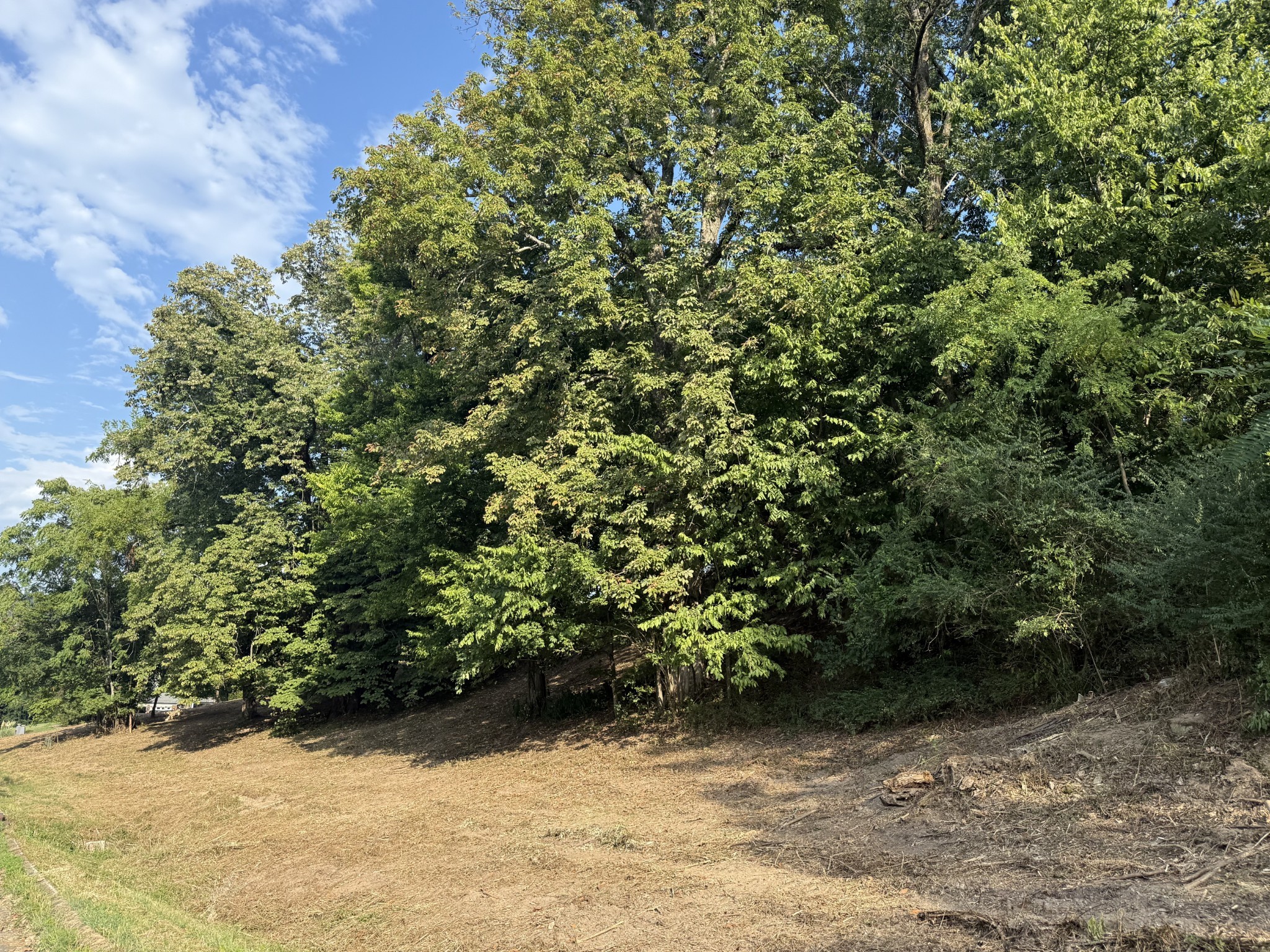 0 Deer Ridge Road Columbia, TN 38401 - Photo 19 of 34