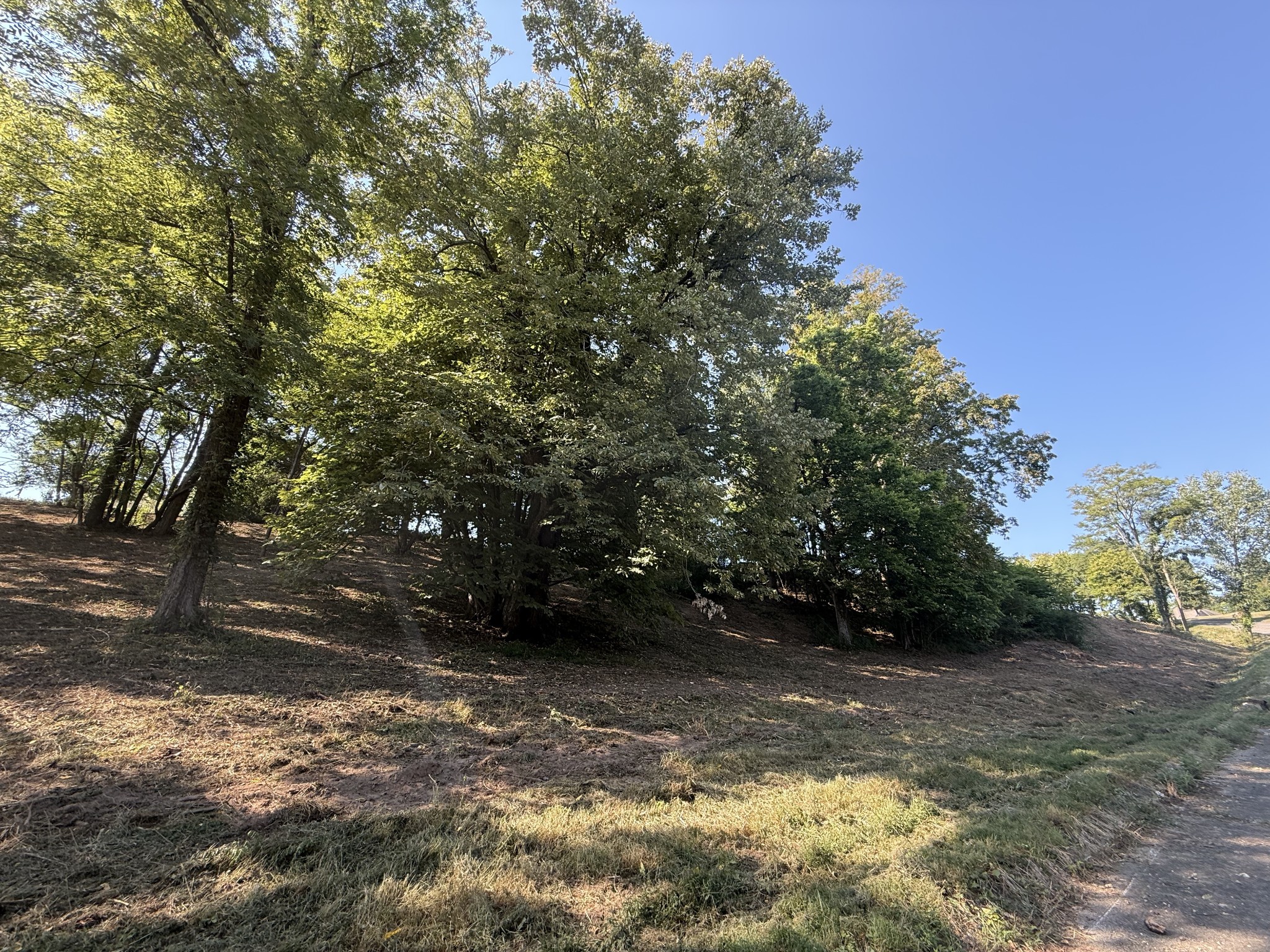 0 Deer Ridge Road Columbia, TN 38401 - Photo 20 of 34