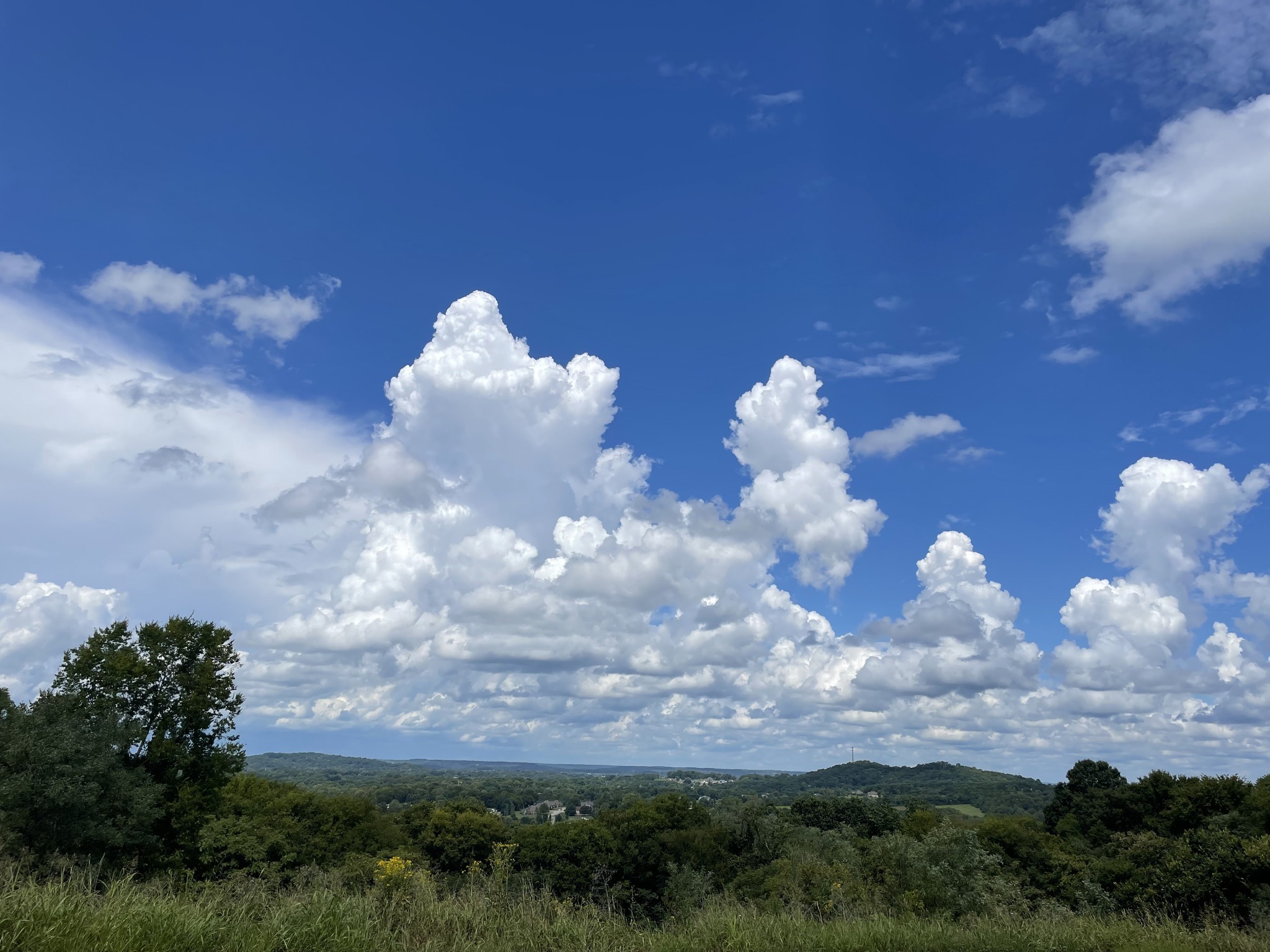 0 Deer Ridge Road Columbia, TN 38401 - Photo 2 of 34
