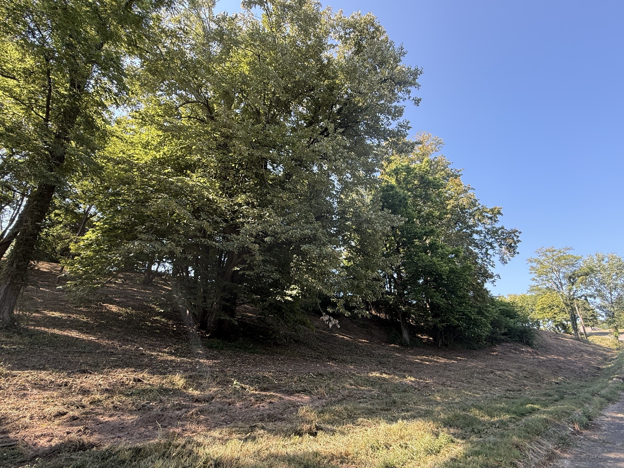 0 Deer Ridge Road Columbia, TN 38401 - Photo 21 of 34