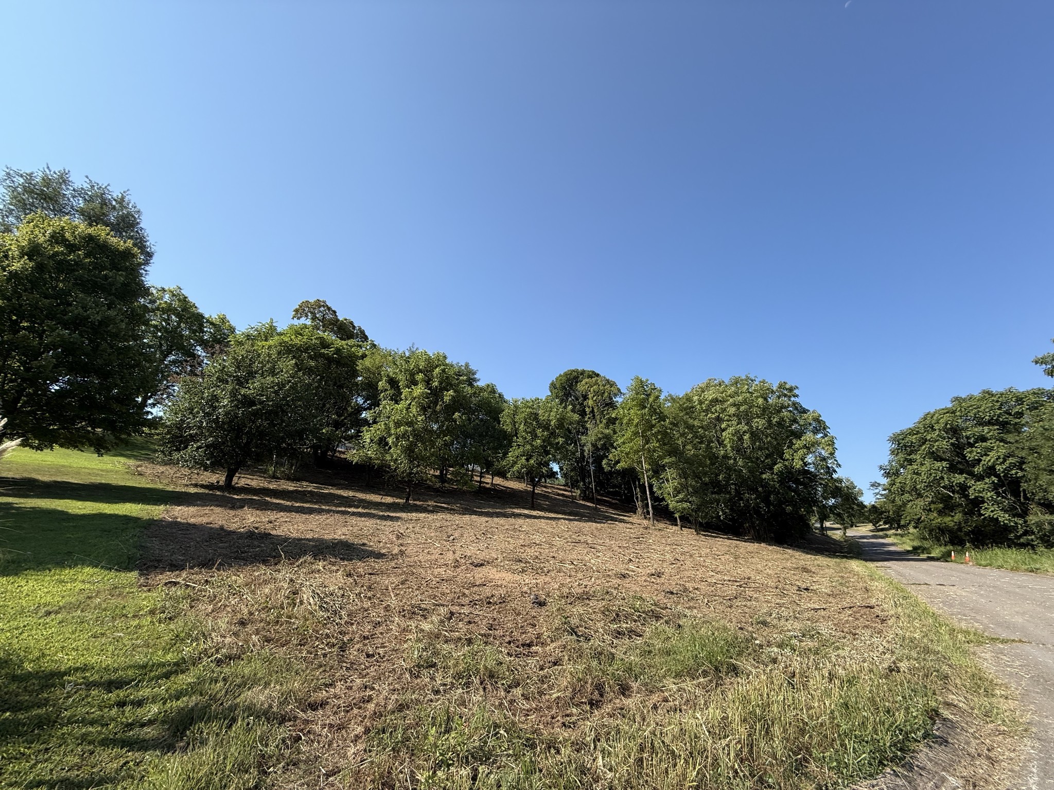 0 Deer Ridge Road Columbia, TN 38401 - Photo 23 of 34