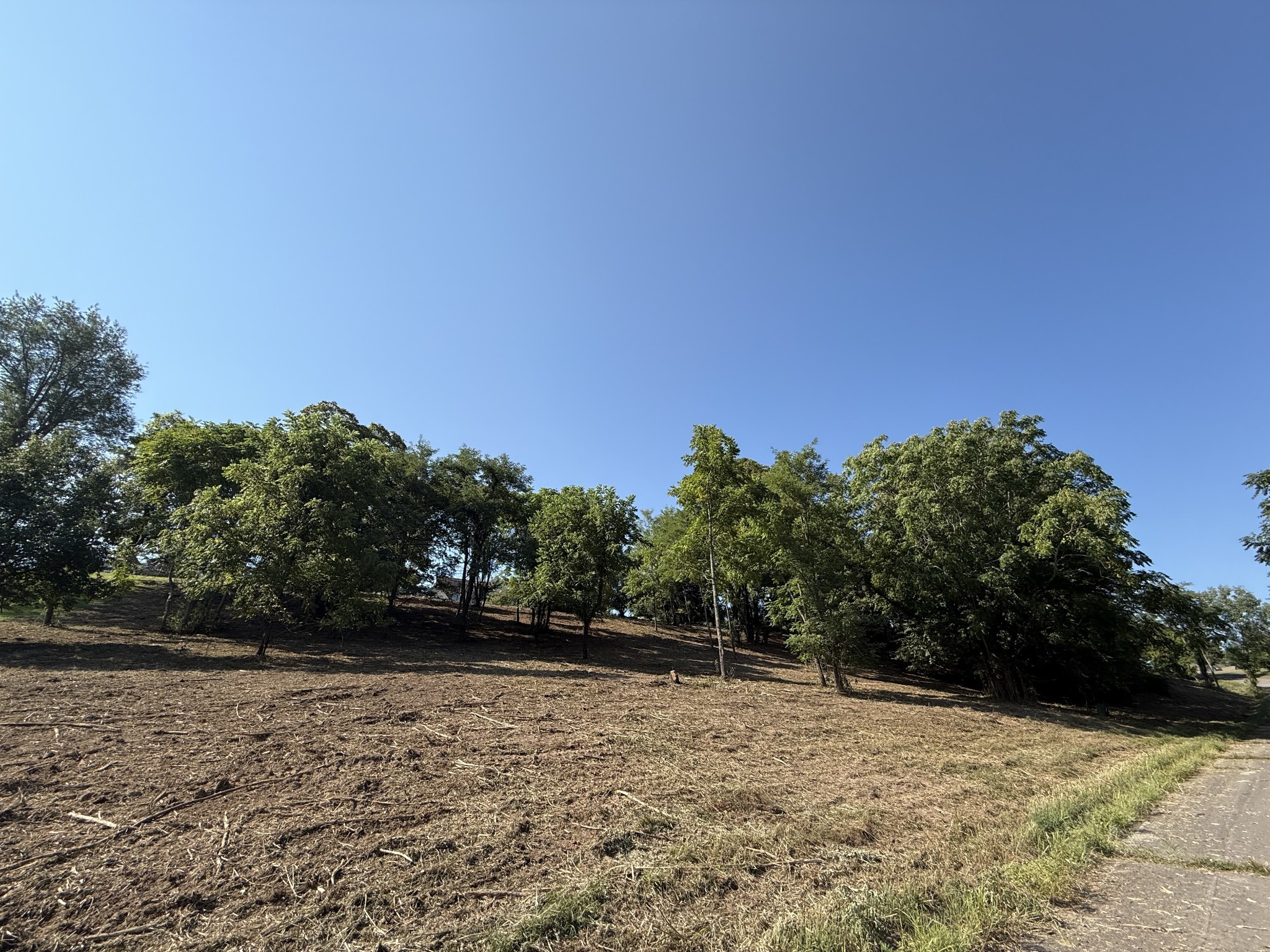 0 Deer Ridge Road Columbia, TN 38401 - Photo 25 of 34