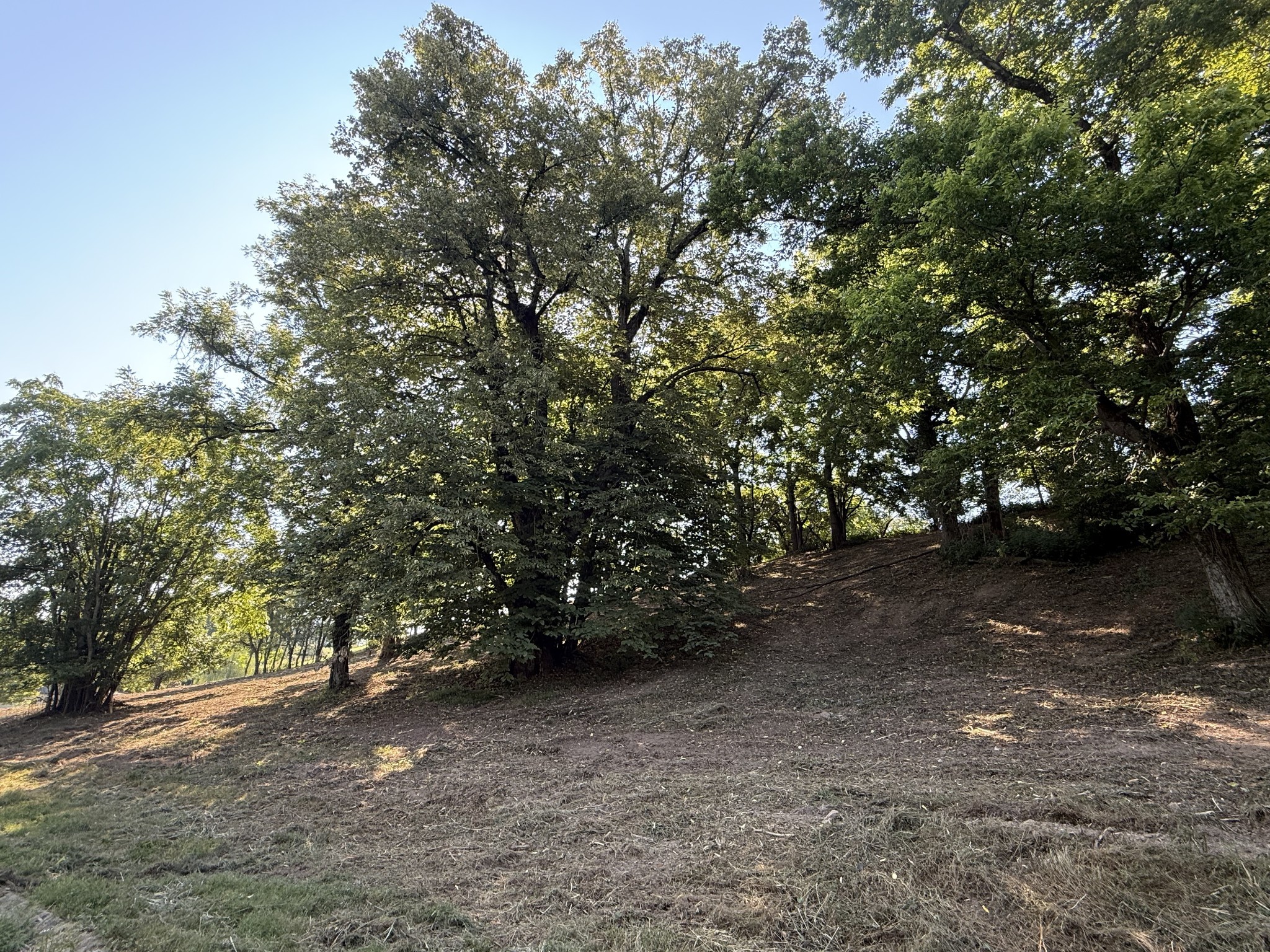 0 Deer Ridge Road Columbia, TN 38401 - Photo 26 of 34