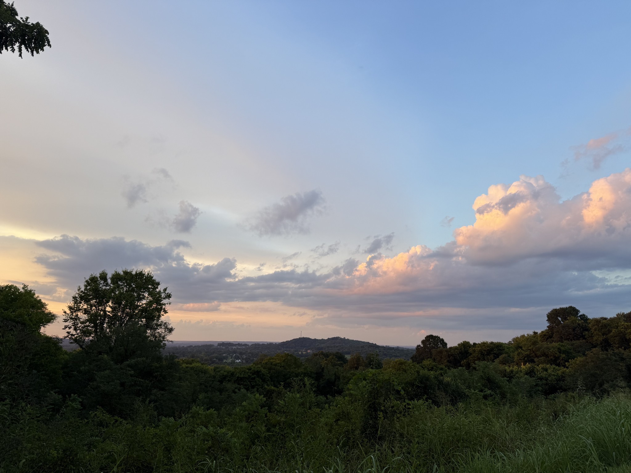 0 Deer Ridge Road Columbia, TN 38401 - Photo 30 of 34