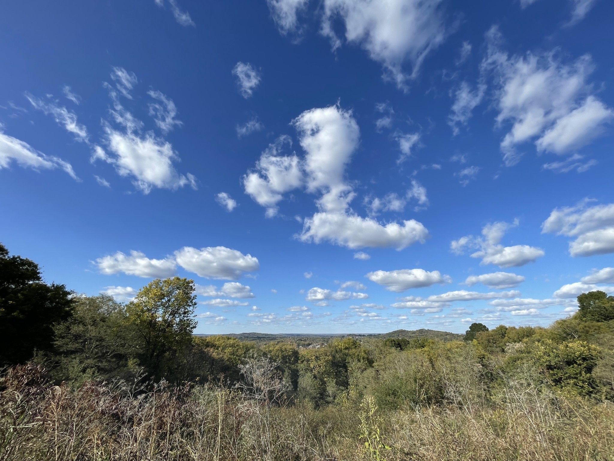 0 Deer Ridge Road Columbia, TN 38401 - Photo 6 of 34