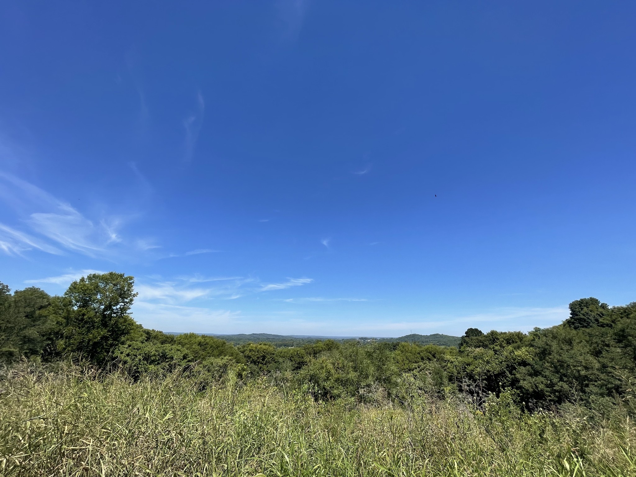 0 Deer Ridge Road Columbia, TN 38401 - Photo 9 of 34