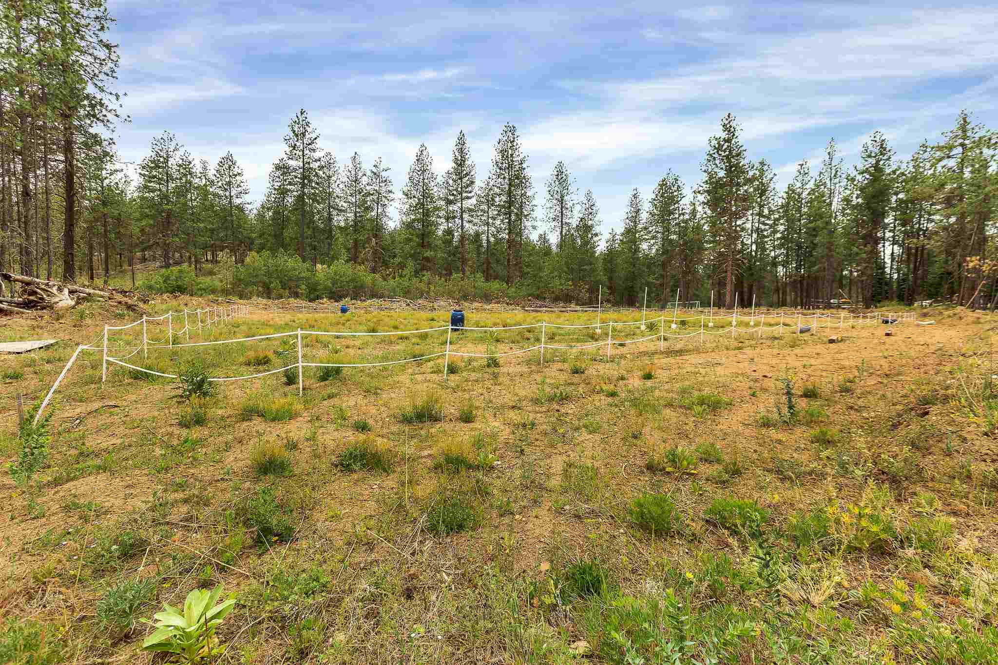 11602 South Spotted Road Cheney, WA 99004 - Photo 4 of 19
