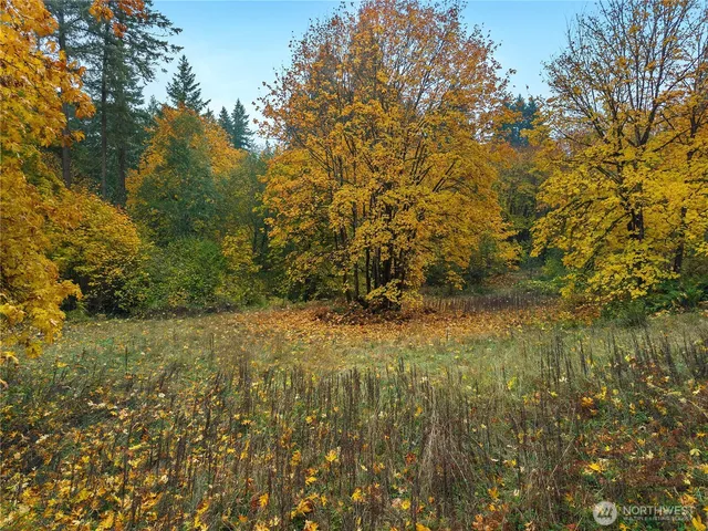 a view of natural light