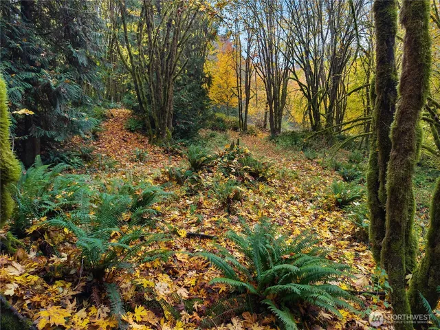 a view of backyard with green space