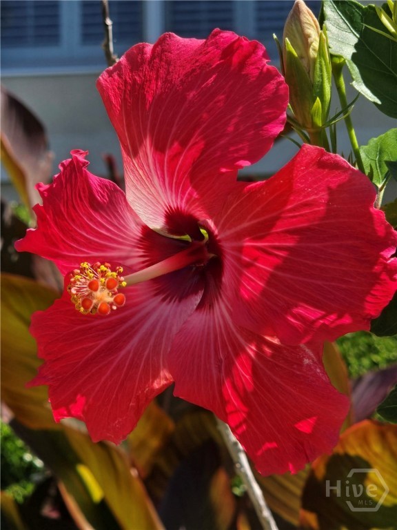 1609 Strand Avenue, Unit 306 Tybee Island, GA 31328 - Photo 17 of 18