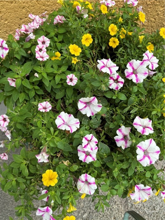 1609 Strand Avenue, Unit 306 Tybee Island, GA 31328 - Photo 18 of 18