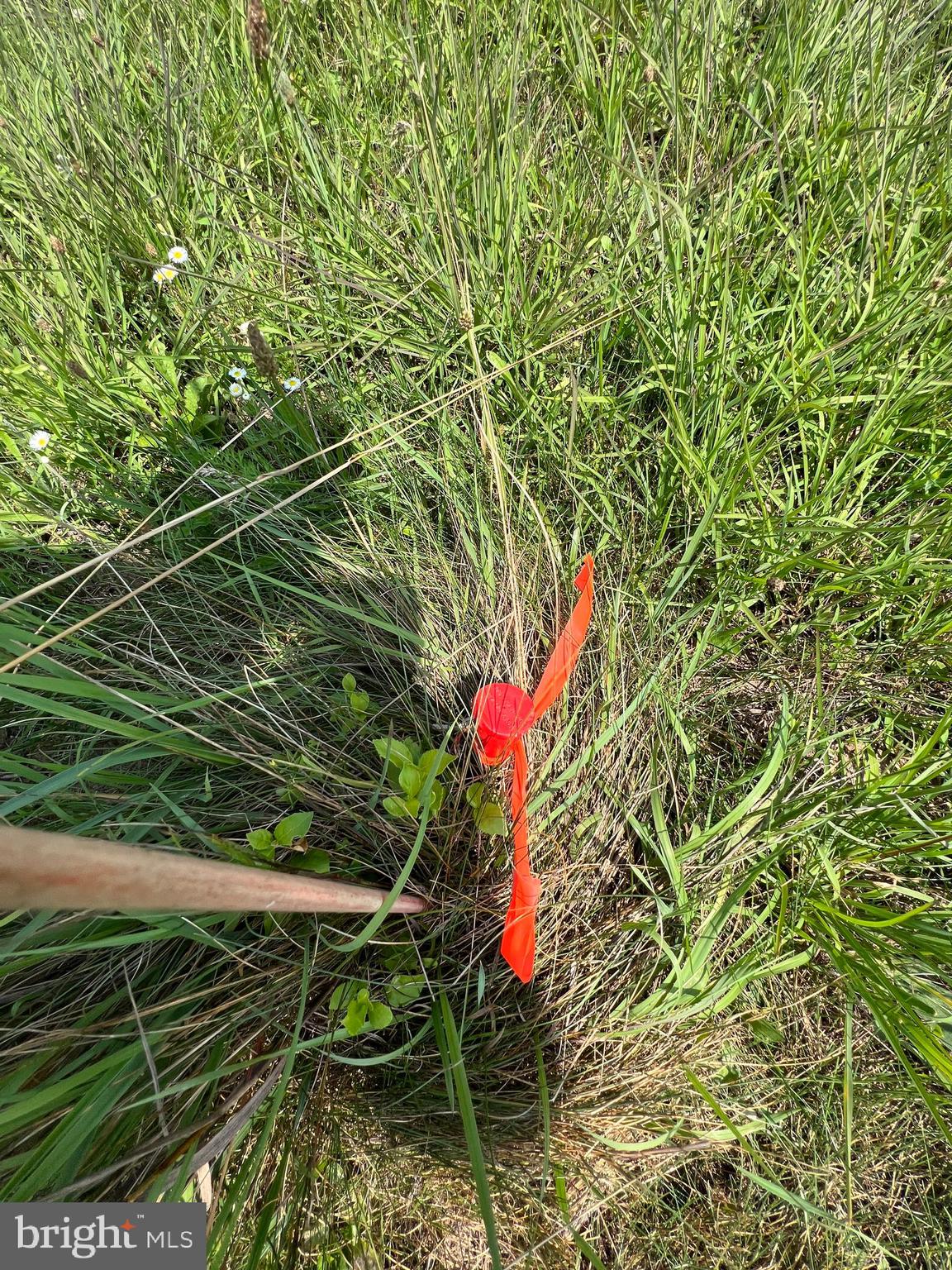 Lot 6 East Graceville Road Breezewood, PA 15533 - Photo 13 of 13