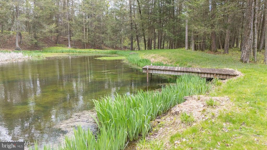 2270 Pine Tree Road Hughesville, PA 17737 - Photo 87 of 90 Serene pond with lush greenery.
