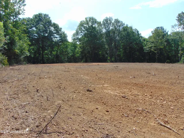 $39,000 | 1015 Tarver Lane, Wesson, MS 39191