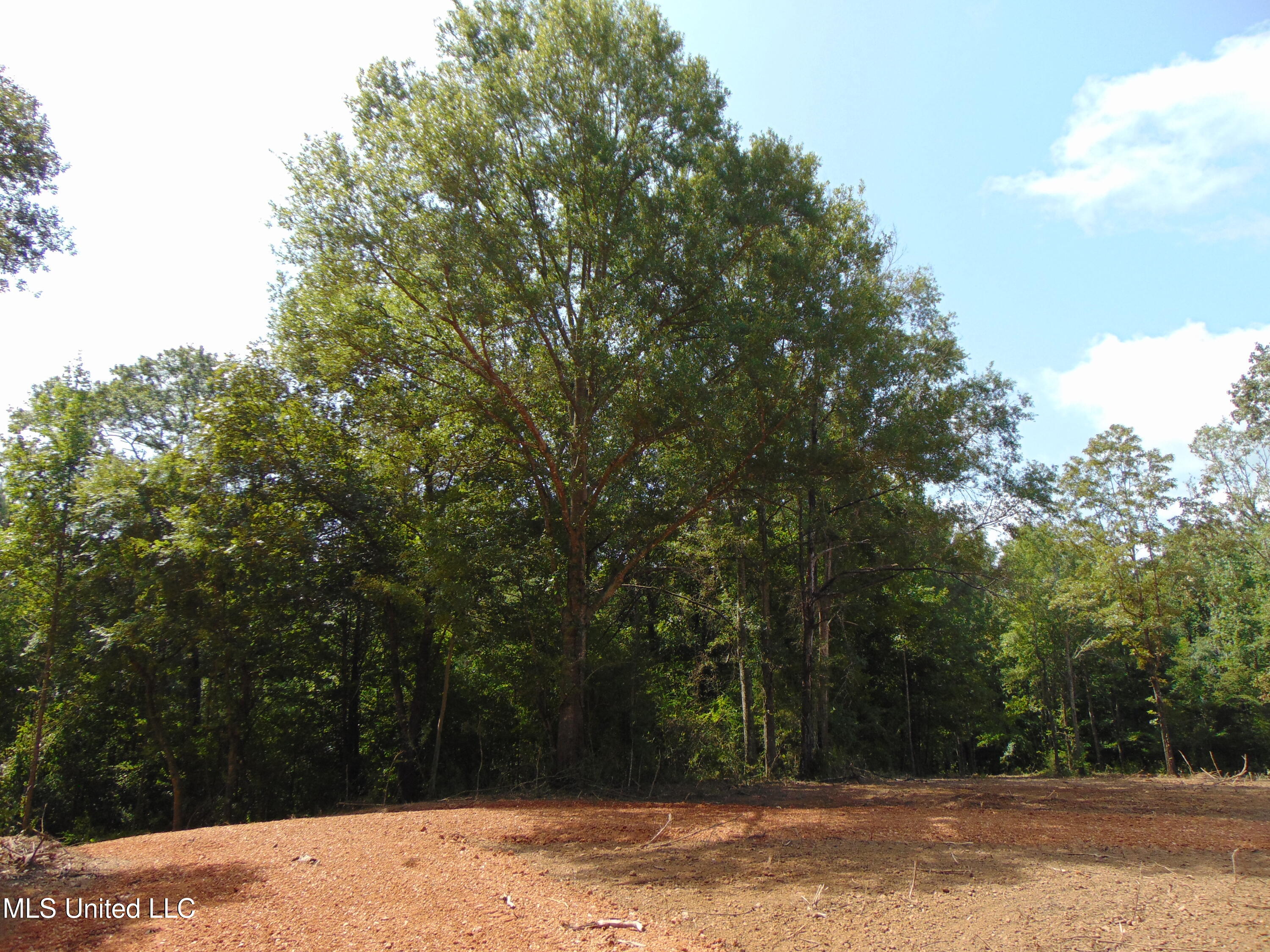 1015 Tarver Lane Wesson, MS 39191 - Photo 11 of 27 DSC05146