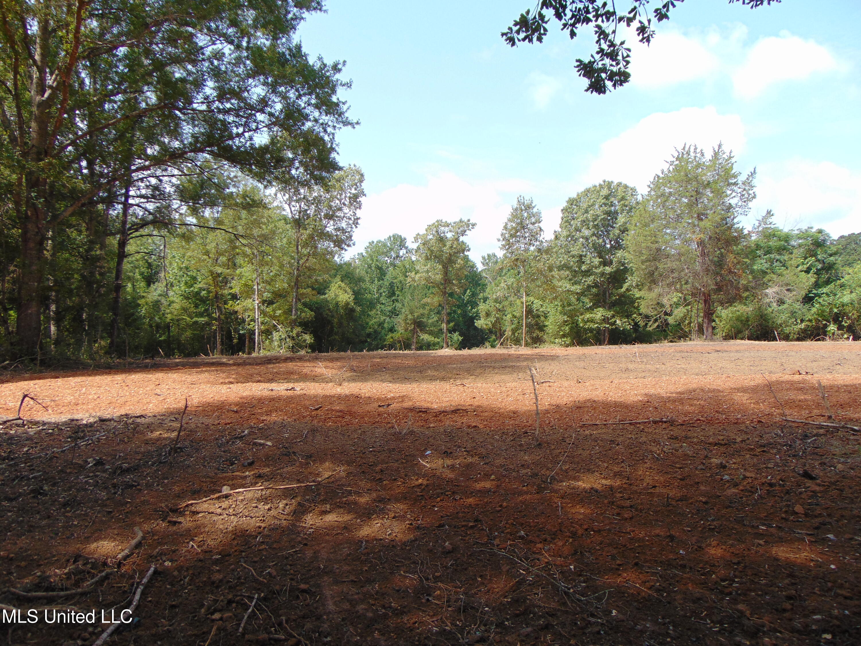 1015 Tarver Lane Wesson, MS 39191 - Photo 12 of 27 DSC05149