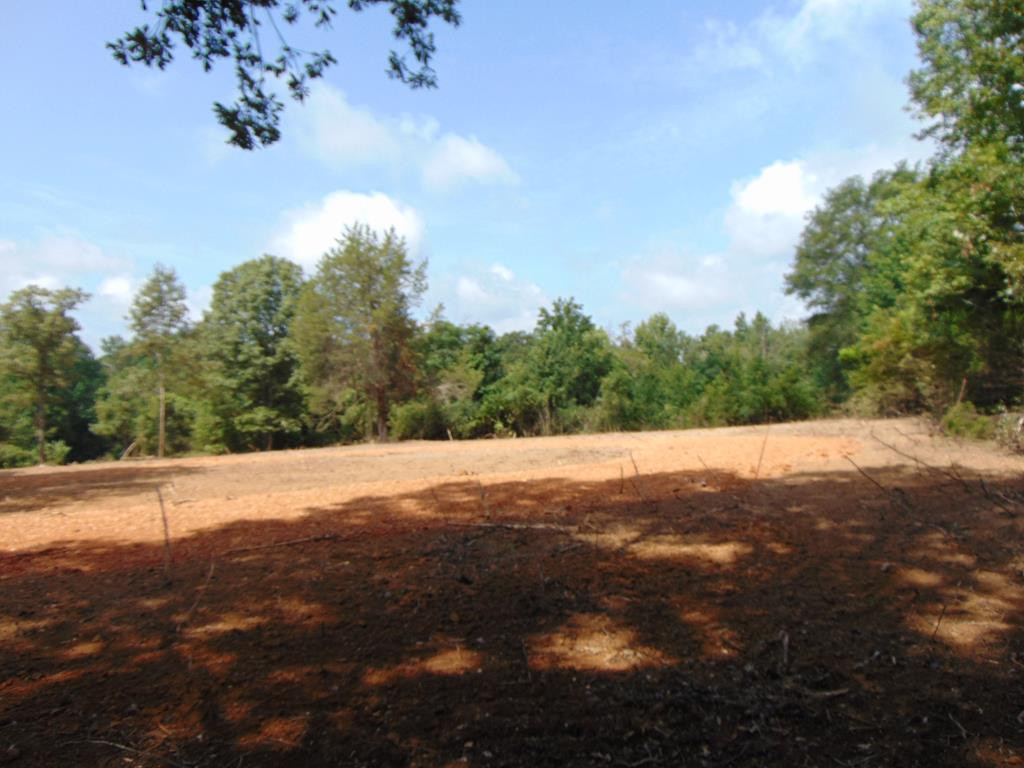 1015 Tarver Lane Wesson, MS 39191 - Photo 15 of 27 Main View