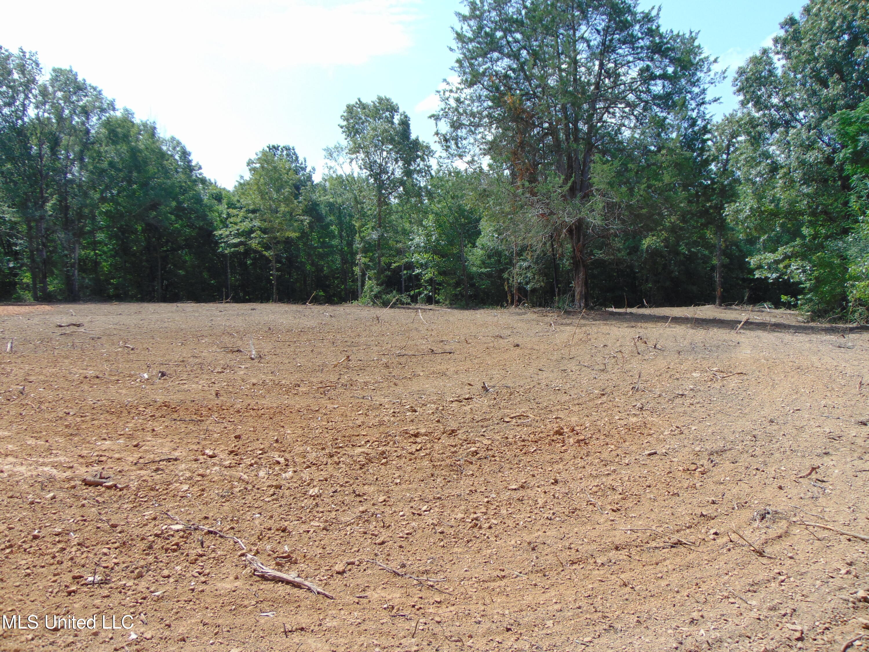 1015 Tarver Lane Wesson, MS 39191 - Photo 16 of 27 DSC05153