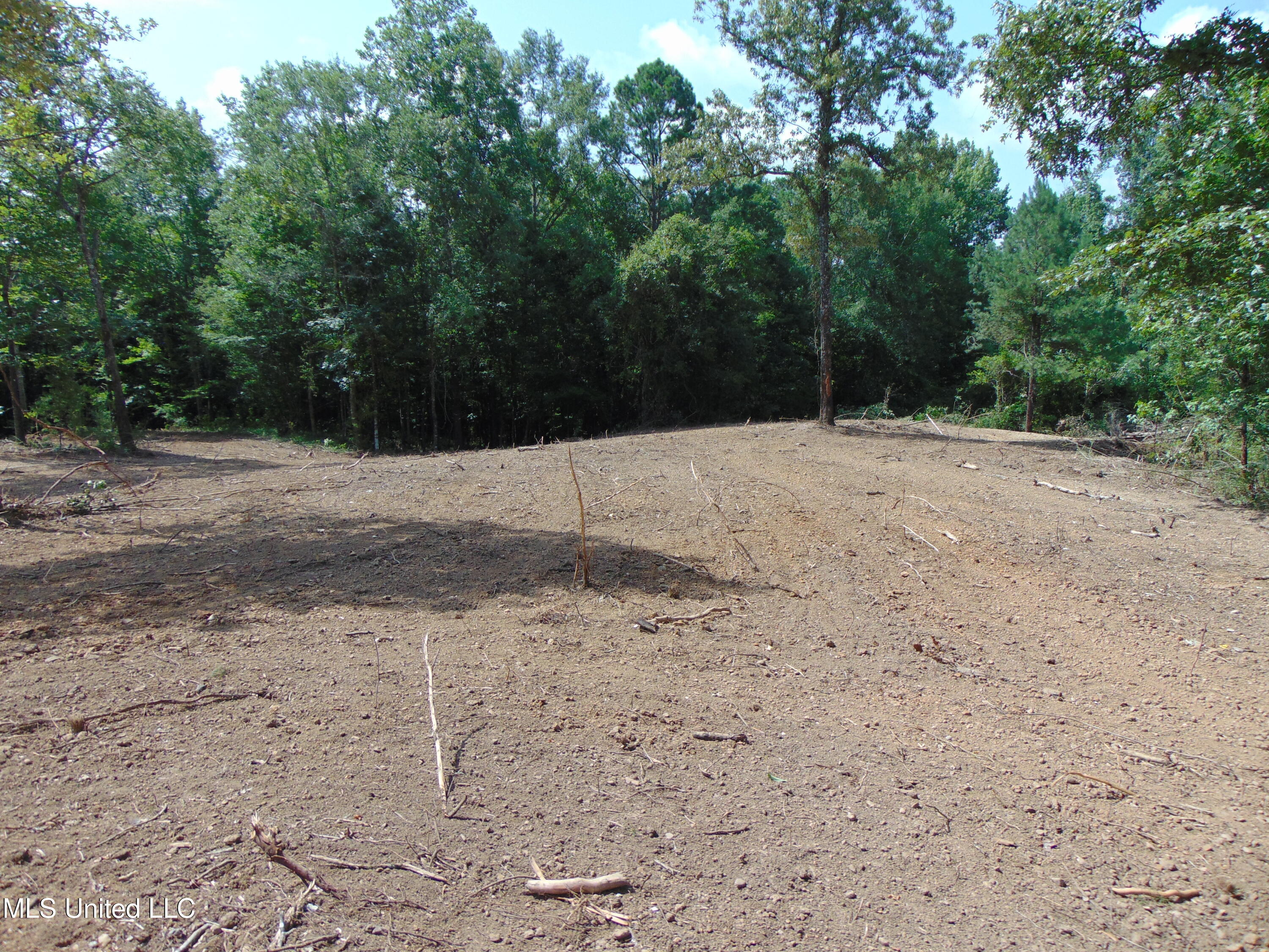 1015 Tarver Lane Wesson, MS 39191 - Photo 18 of 27 DSC05154