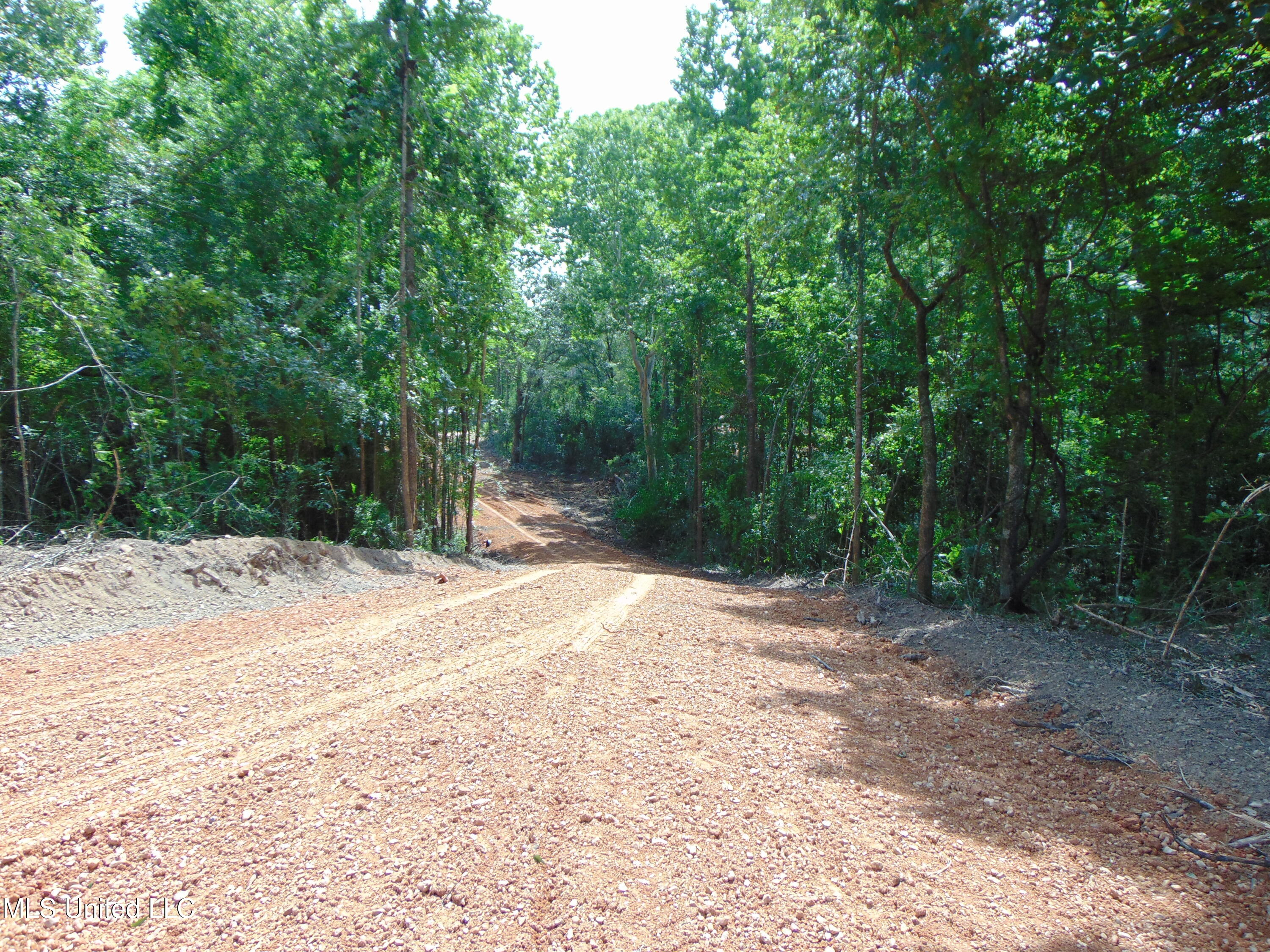 1015 Tarver Lane Wesson, MS 39191 - Photo 20 of 27 DSC05156