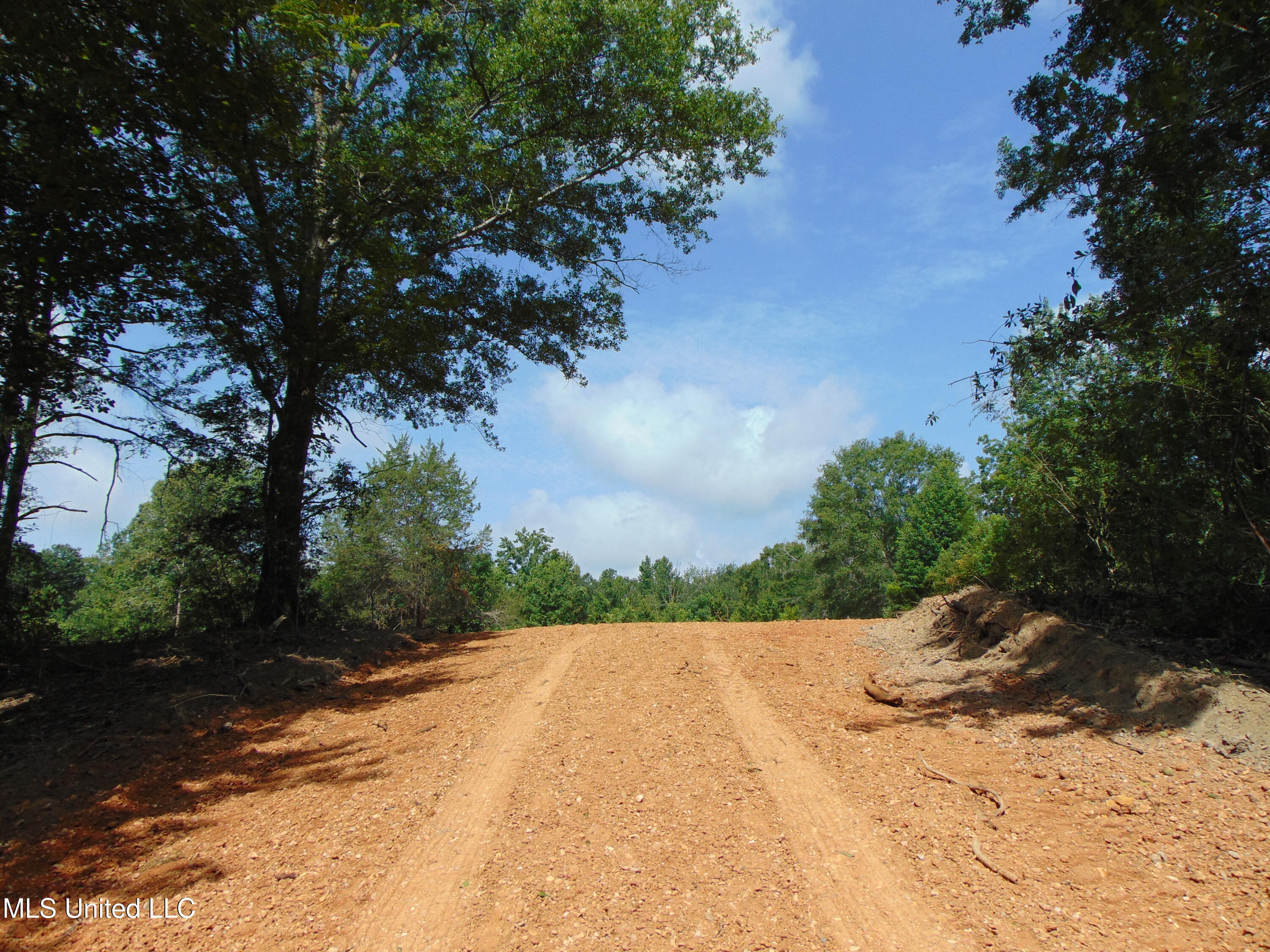 1015 Tarver Lane Wesson, MS 39191 - Photo 2 of 27 DSC05140