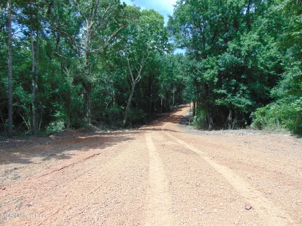 $29,900 | 1015 Tarver Lane, Wesson, MS 39191