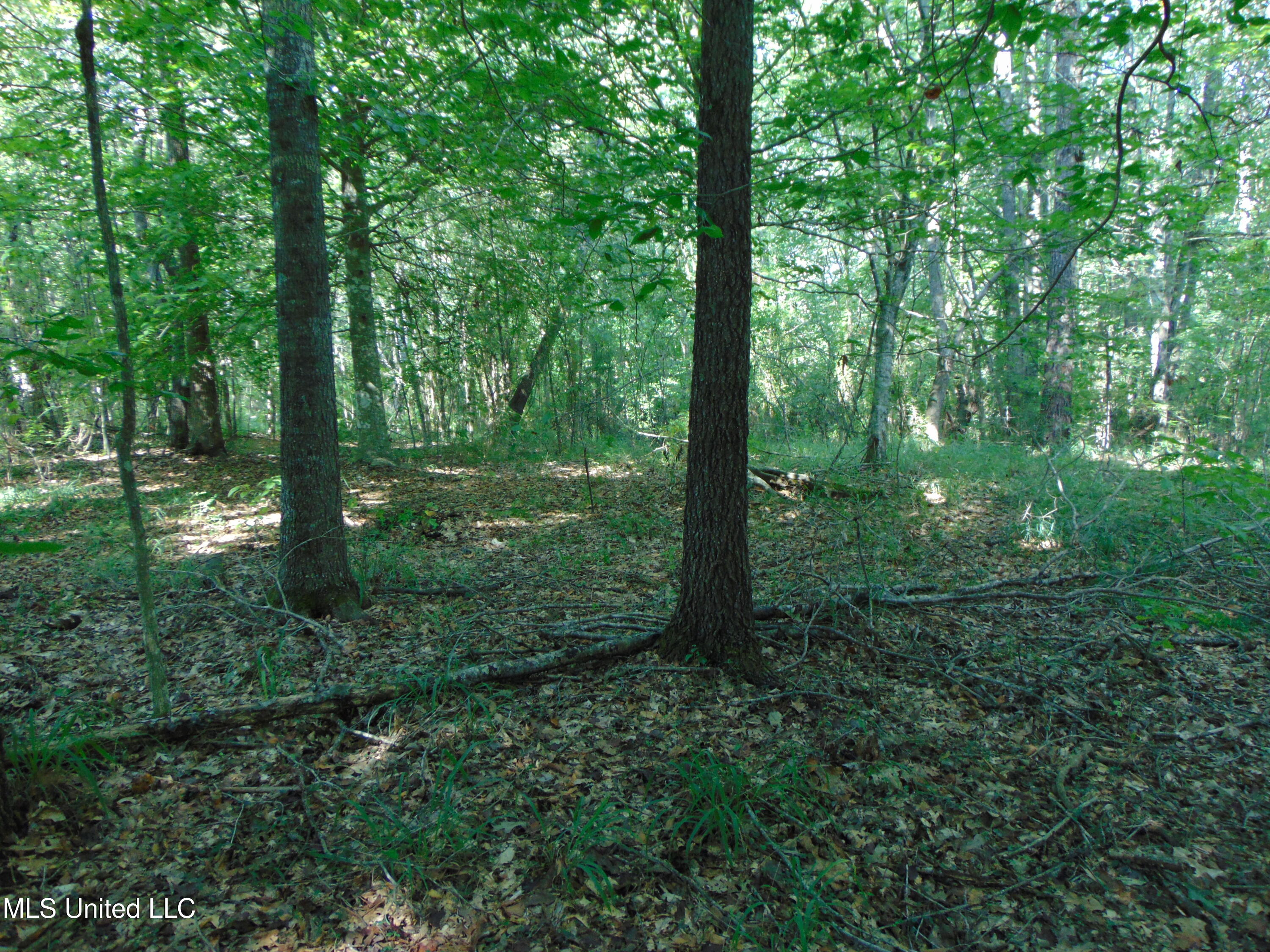 1015 Tarver Lane Wesson, MS 39191 - Photo 22 of 27 DSC05389
