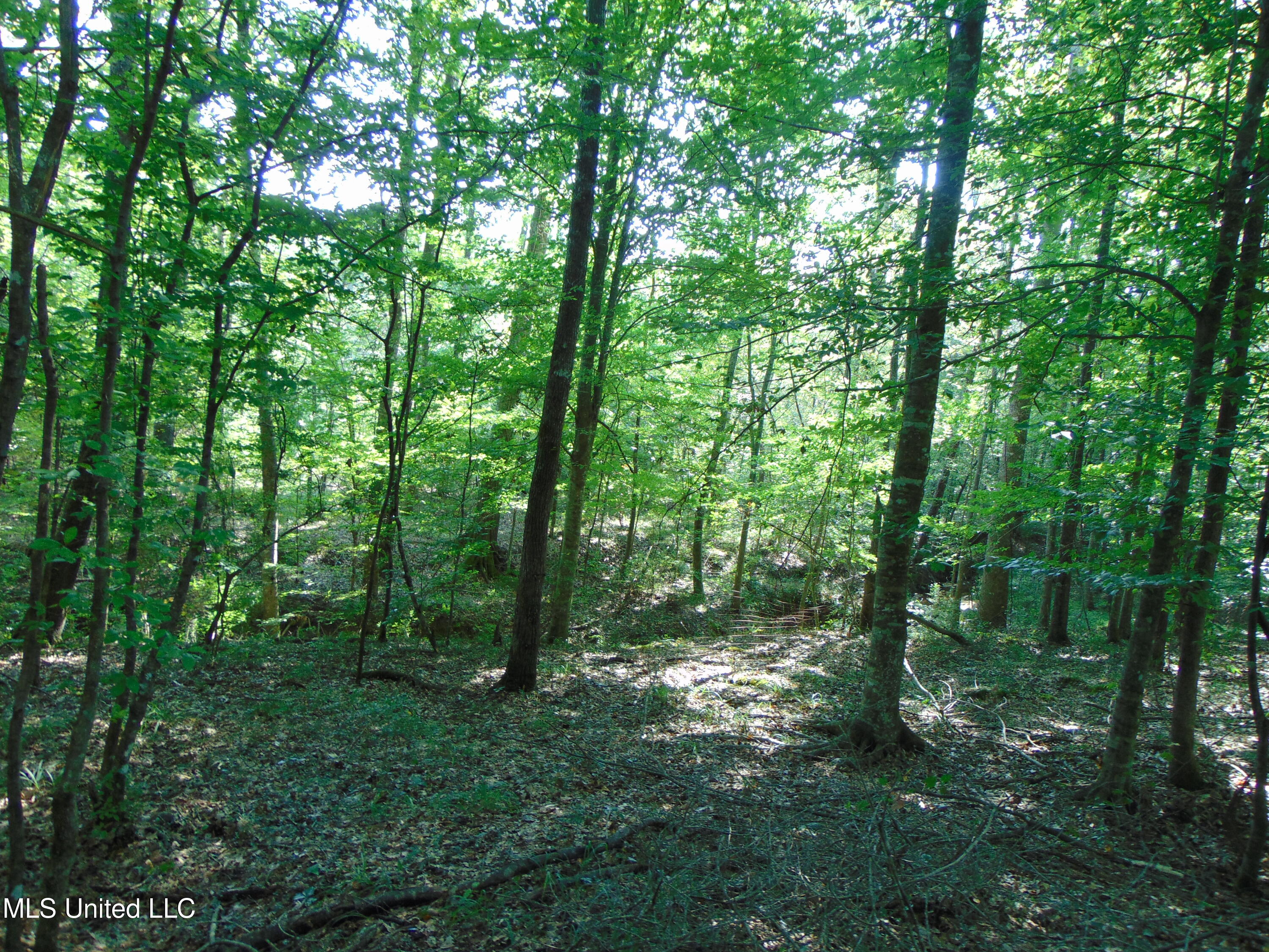 1015 Tarver Lane Wesson, MS 39191 - Photo 27 of 27 DSC05401
