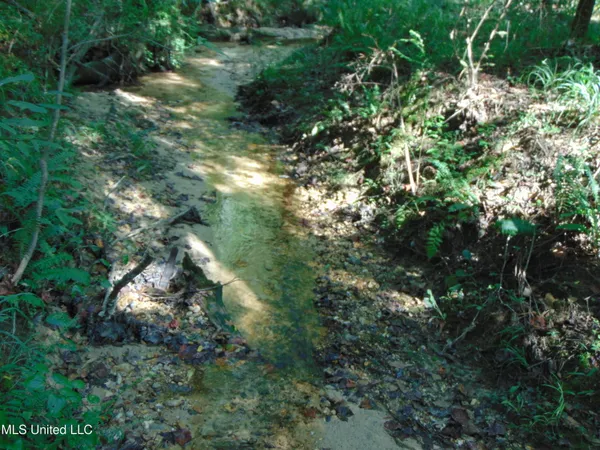 $29,900 | 1015 Tarver Lane, Wesson, MS 39191