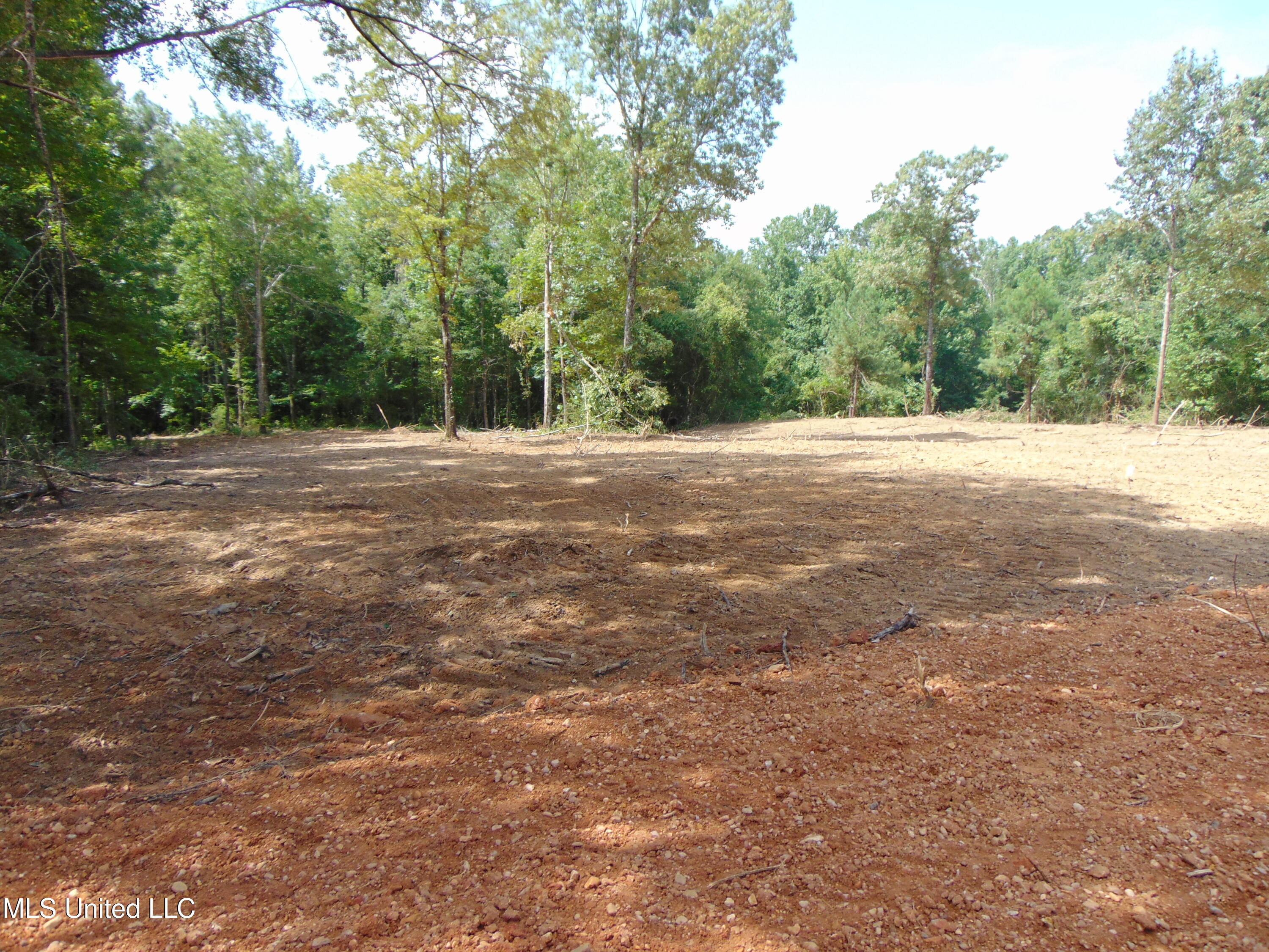 1015 Tarver Lane Wesson, MS 39191 - Photo 4 of 27 DSC05141