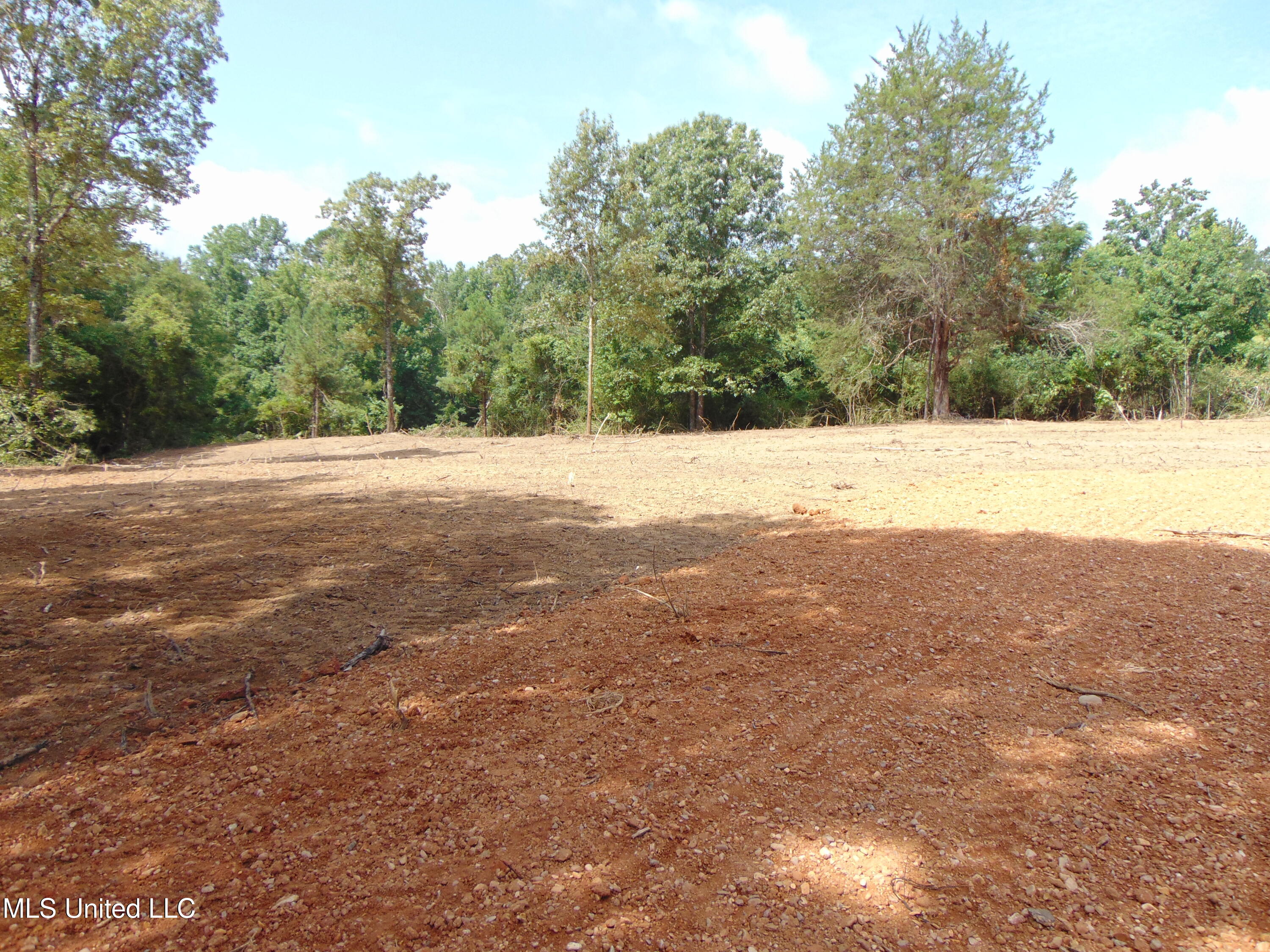 1015 Tarver Lane Wesson, MS 39191 - Photo 6 of 27 DSC05142