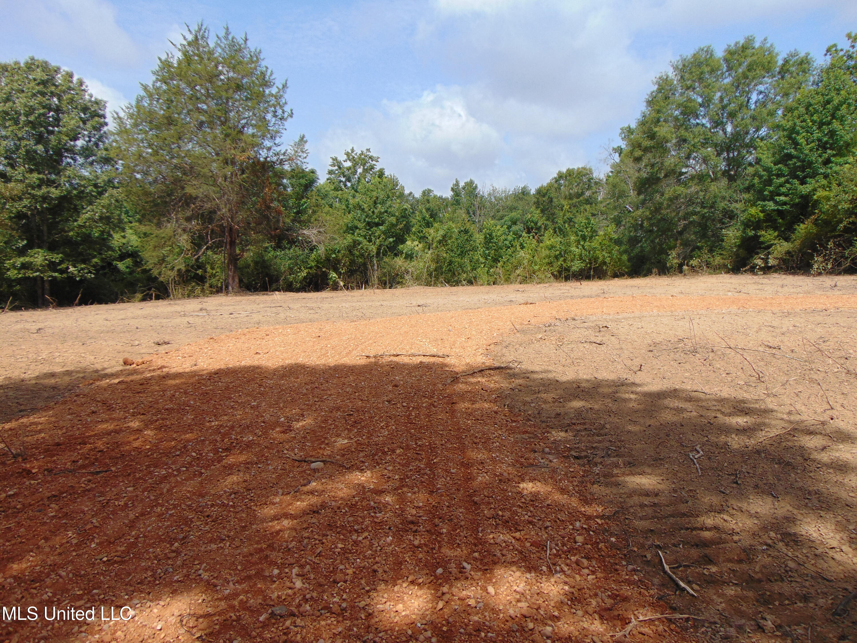 1015 Tarver Lane Wesson, MS 39191 - Photo 8 of 27 DSC05143