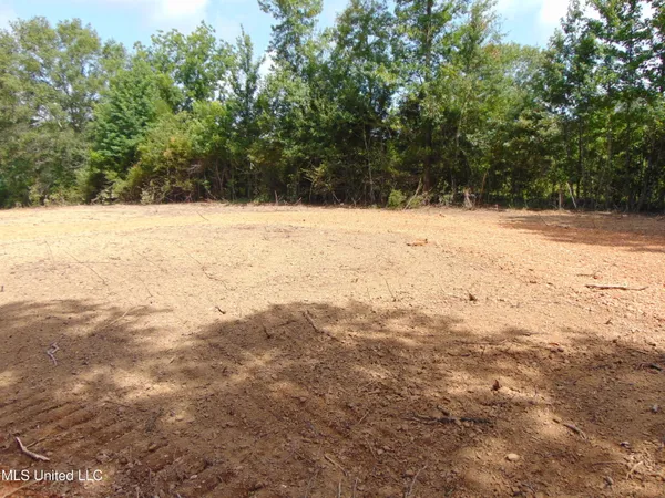 $29,900 | 1015 Tarver Lane, Wesson, MS 39191