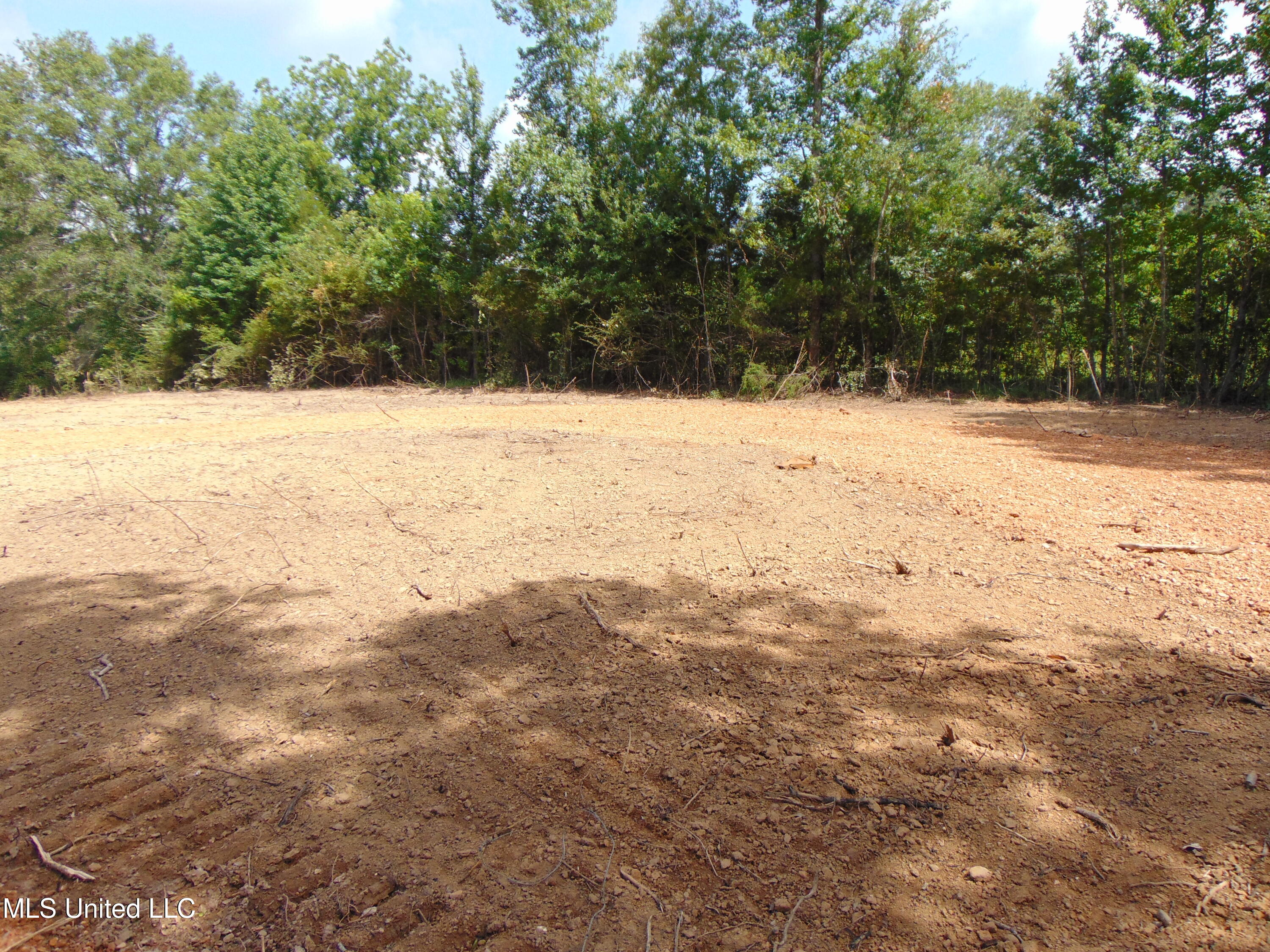1015 Tarver Lane Wesson, MS 39191 - Photo 9 of 27 DSC05144