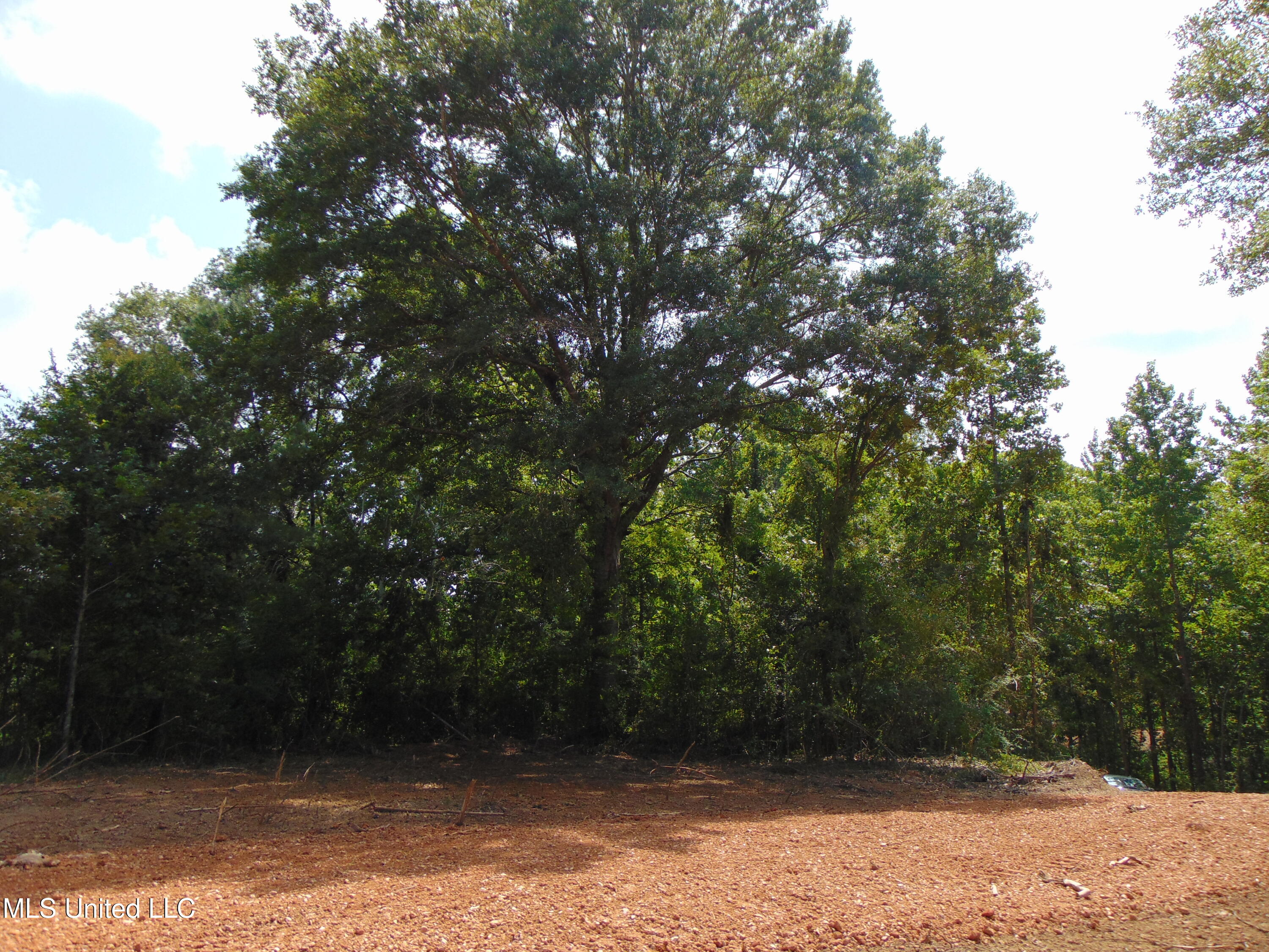 1015 Tarver Lane Wesson, MS 39191 - Photo 10 of 27 DSC05145