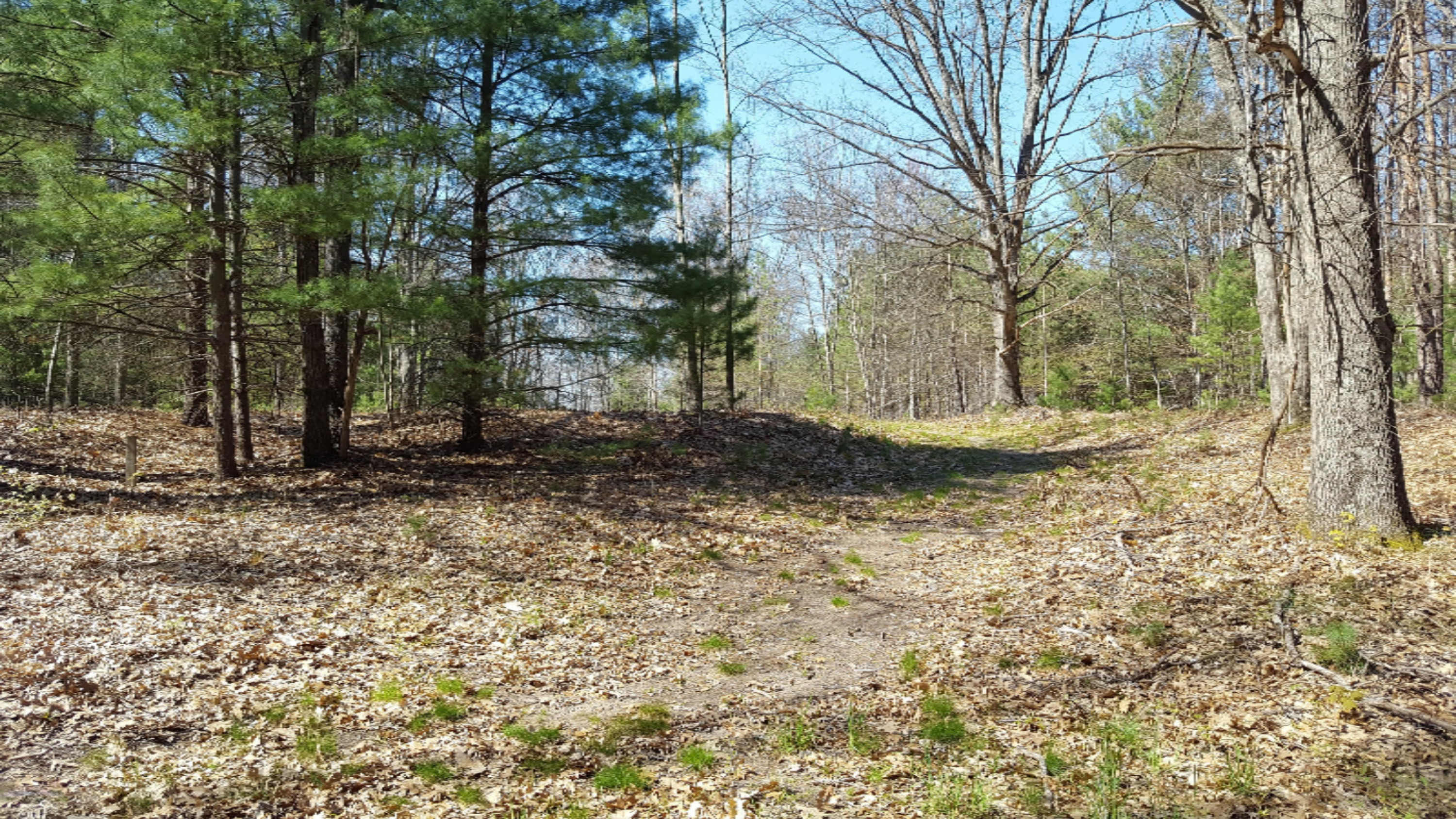 6135 East Hansen Road Custer, MI 49405 - Photo 42 of 53 20190514_163831