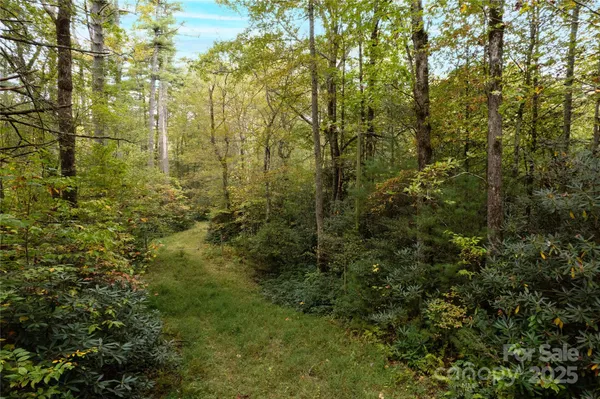 $35,000 | 0 Beaumont Drive, Cedar Mountain, NC 28718