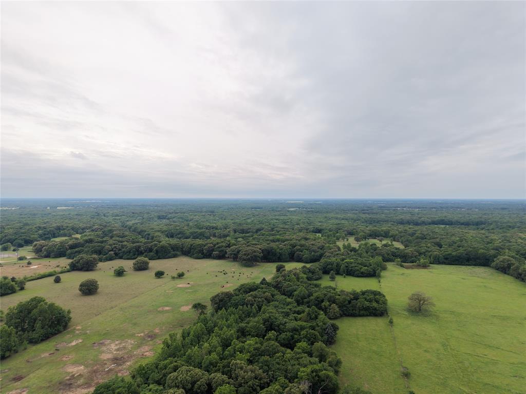 0 County Road 2437 Como, TX 75431 - Photo 13 of 13