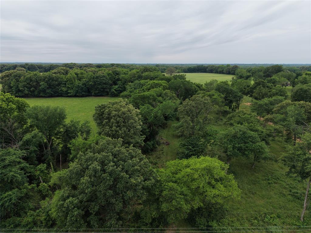 0 County Road 2437 Como, TX 75431 - Photo 2 of 13