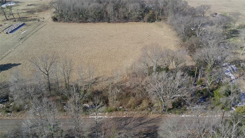 0 County Road 2437 Como, TX 75431 - Photo 2 of 7 a view of a dry yard covered with trees