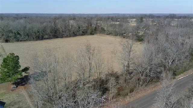a view of a dry yard