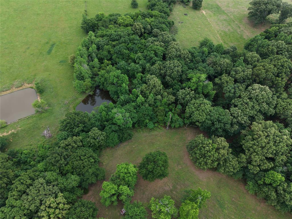 0 County Road 2437 Como, TX 75431 - Photo 3 of 13