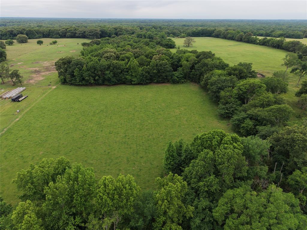 0 County Road 2437 Como, TX 75431 - Photo 4 of 13