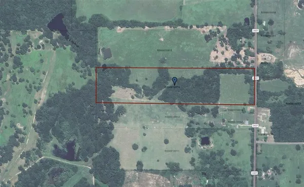 a view of a dry yard