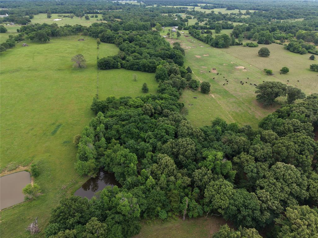 0 County Road 2437 Como, TX 75431 - Photo 8 of 13