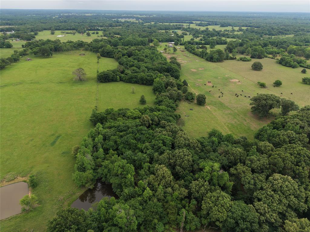0 County Road 2437 Como, TX 75431 - Photo 9 of 13