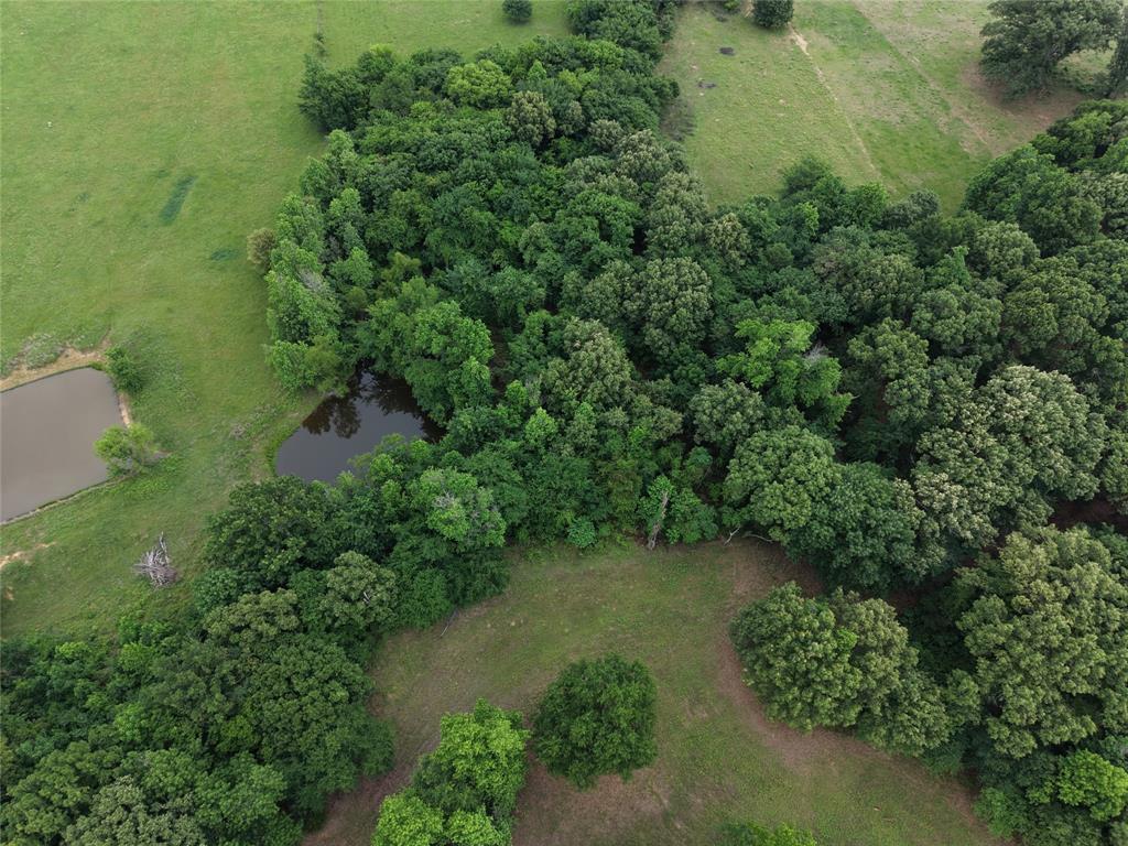 0 County Road 2437 Como, TX 75431 - Photo 10 of 13