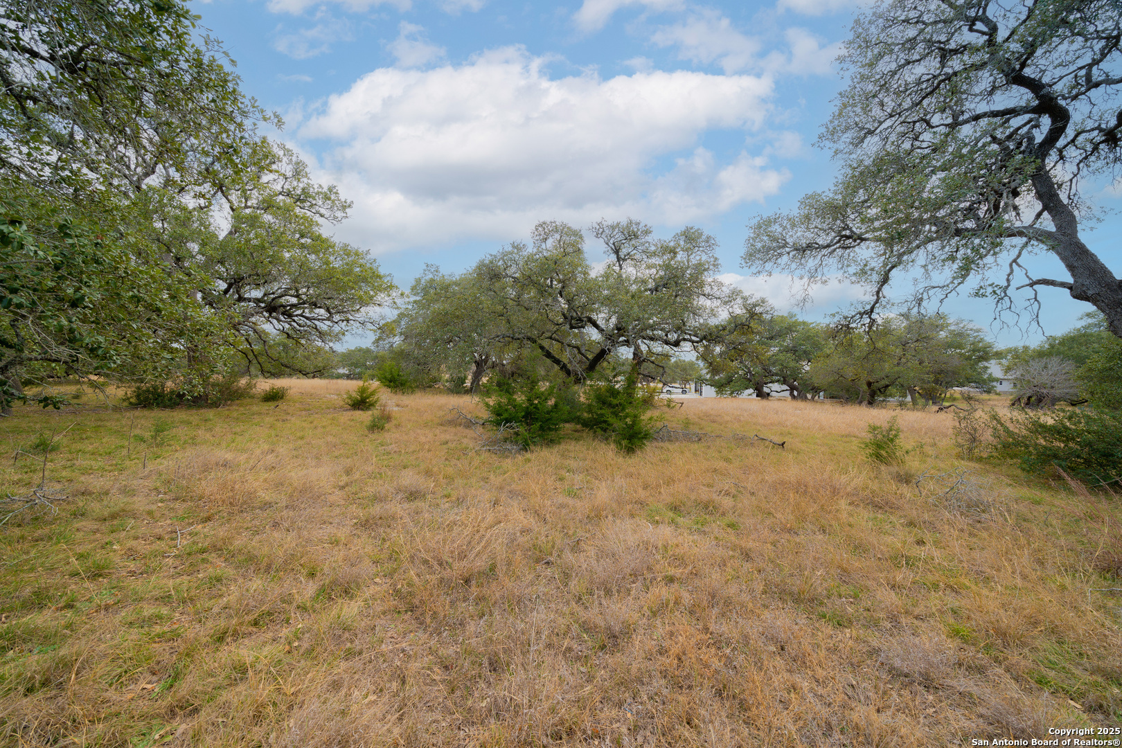 978 Maximino Ridge Rd. Bulverde, TX 78163 - Photo 11 of 19
