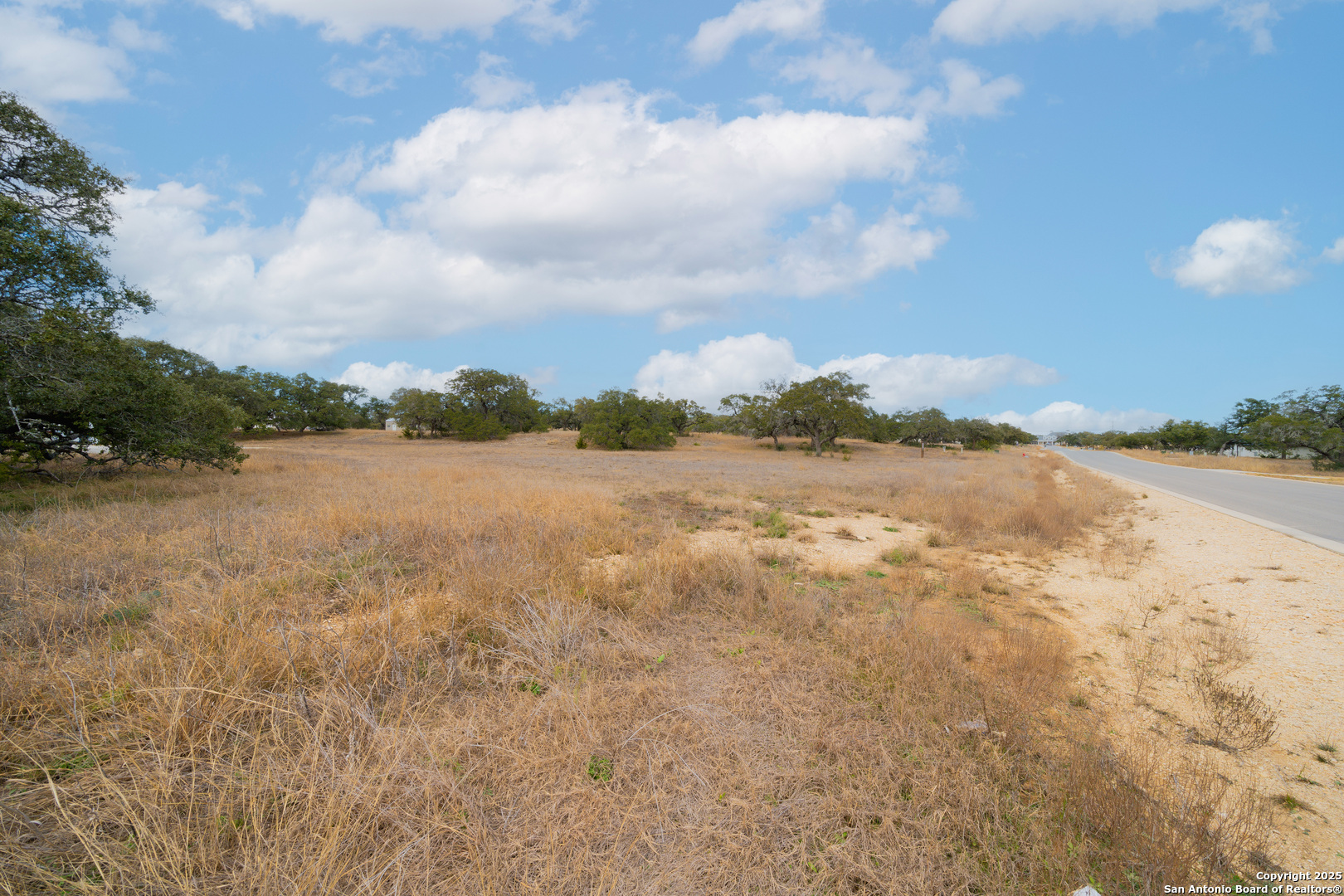 978 Maximino Ridge Rd. Bulverde, TX 78163 - Photo 16 of 19